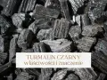 Grupka surowych, czarnych turmalinów. Poznaj czarny turmalin właściwości i jego znaczenie.