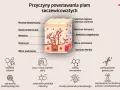Schemat przedstawia budowę skóry i przyczyny powstawania plam soczewicowatych: niedobory witamin, urazy, zmiany hormonalne, predyspozycje genetyczne.