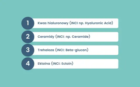 Lista kluczowych składników aktywnych: kwas hialuronowy, ceramidy, trehaloza, ektoina.
