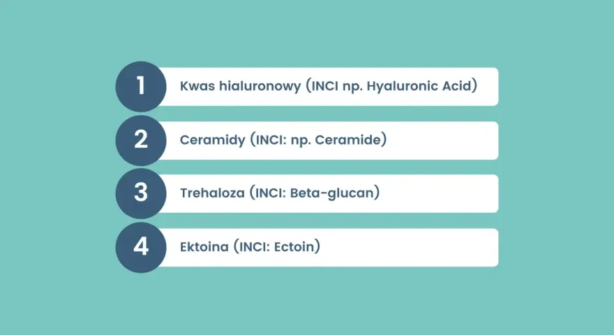 Lista kluczowych składników aktywnych: kwas hialuronowy, ceramidy, trehaloza, ektoina.