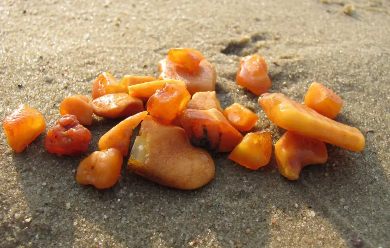 Kawałki bursztynu na piaszczystej plaży, błyszczące w słońcu. Wygląda jak skarby morza.